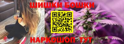 крисы Аргун