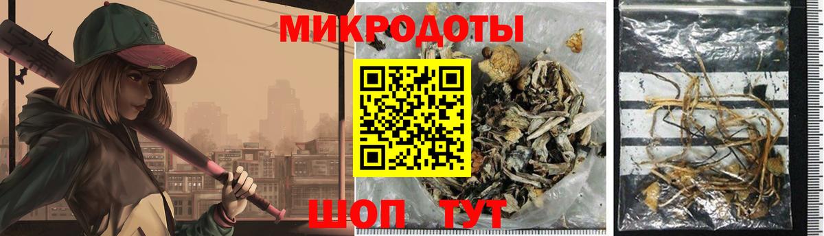Воронеж  Псилоцибиновые грибы MAGIC MUSHROOMS  Вход с VPN 